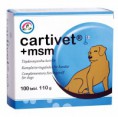 /products/cartivet-msm/